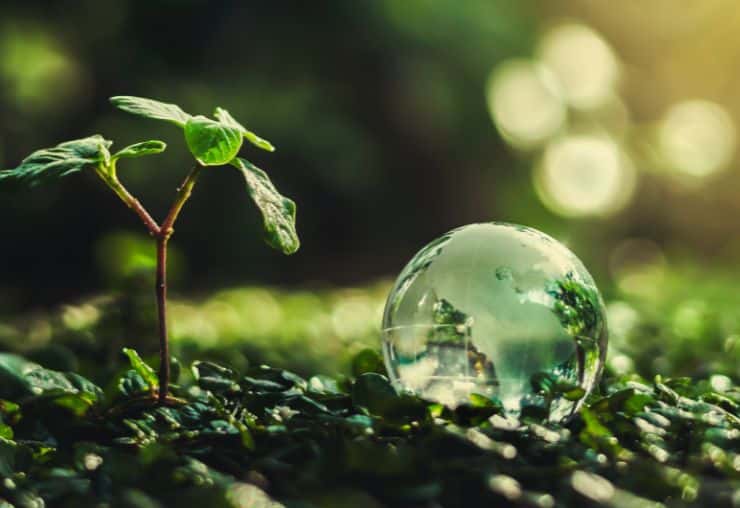 Les métiers de l'environnement et du développement durable